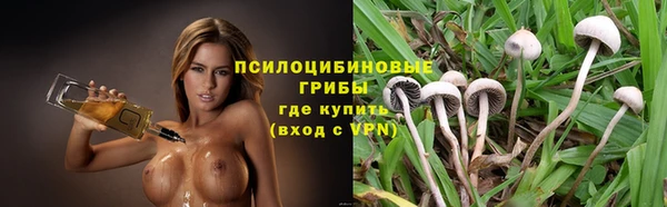 гидропоника Шимановск