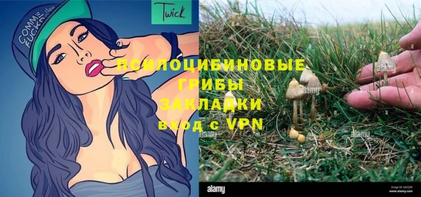 бошки Няндома