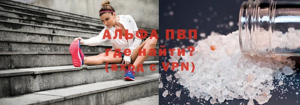 не бодяженный Шенкурск
