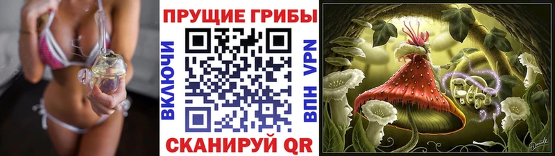 Галлюциногенные грибы GOLDEN TEACHER  Старица 